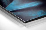 Brushed Aluminum Dibond Wall Art