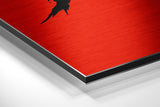 Brushed Aluminum Dibond Wall Art