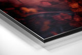 Brushed Aluminum Dibond Wall Art