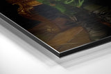 Brushed Aluminum Dibond Wall Art