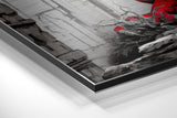 Brushed Aluminum Dibond Wall Art