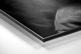 Brushed Aluminum Dibond Wall Art