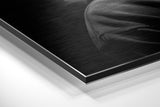 Brushed Aluminum Dibond Wall Art