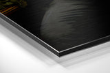 Brushed Aluminum Dibond Wall Art