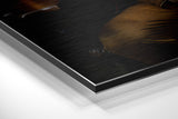 Brushed Aluminum Dibond Wall Art