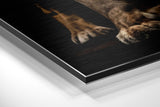 Brushed Aluminum Dibond Wall Art