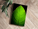 Green Leaf Aluminum Print