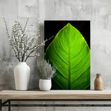 Green Leaf Aluminum Print