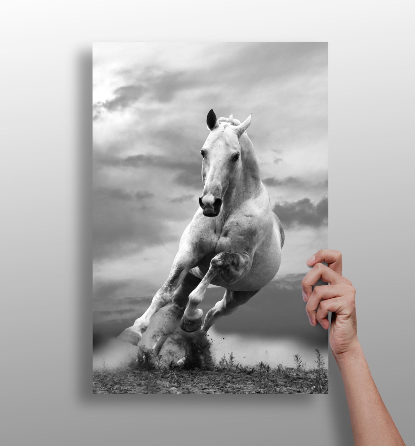 Running Horse Aluminum Print