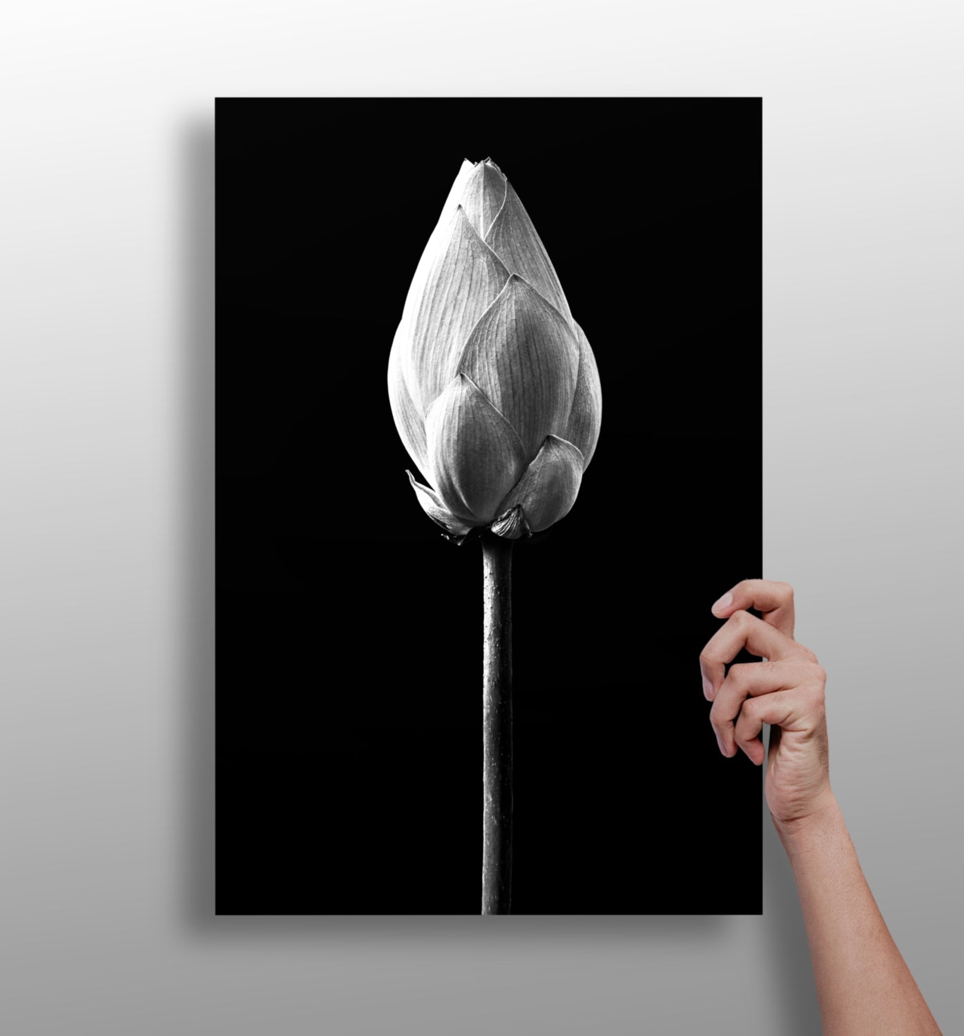 Flower Aluminum Print