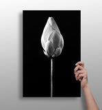 Flower Aluminum Print