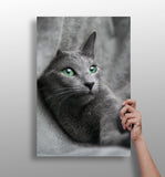 Cat Aluminum Print