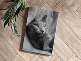 Cat Aluminum Print