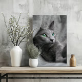 Cat Aluminum Print