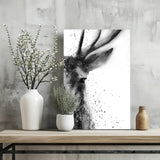 Deer Aluminum Print