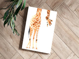 Giraffe Aluminum Print