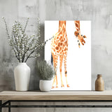 Giraffe Aluminum Print