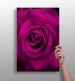 Rose Aluminum Print