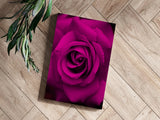 Rose Aluminum Print