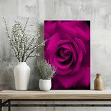 Rose Aluminum Print