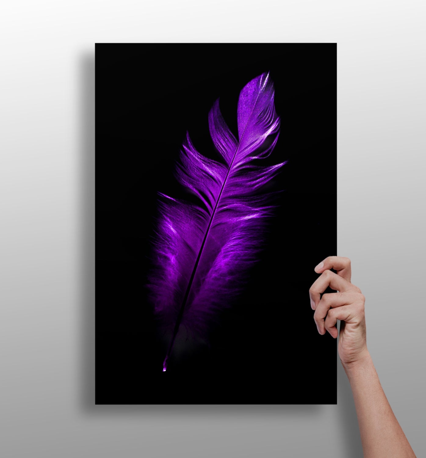 Purple Feather Aluminum Print