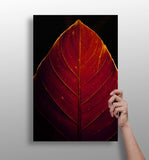 Red Leaf Aluminum Print