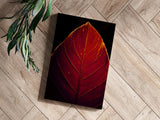 Red Leaf Aluminum Print