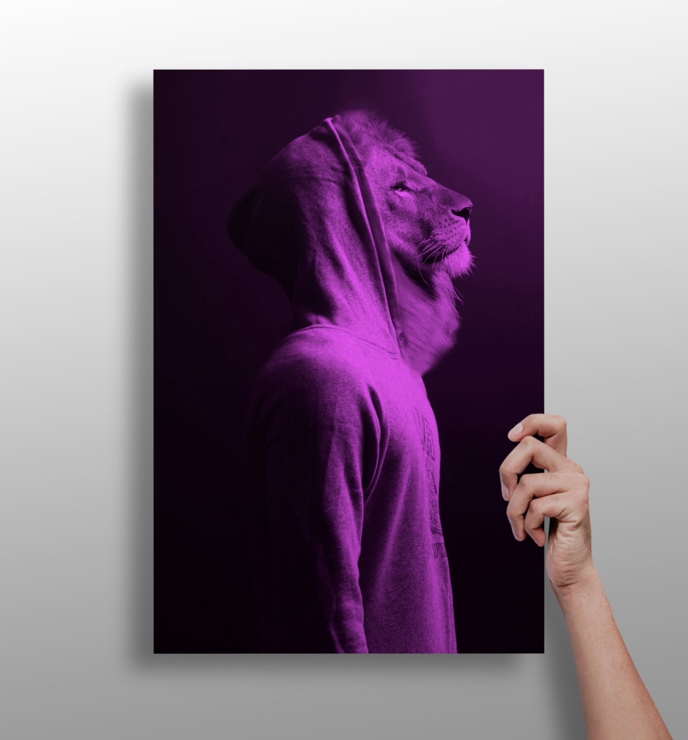 Lion Aluminum Print