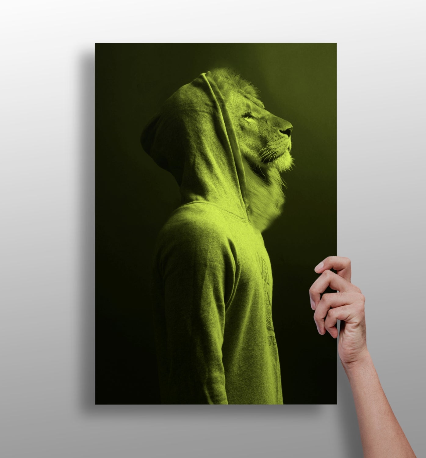 Lion Aluminum Print