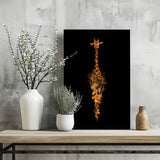 Giraffe Aluminum Print