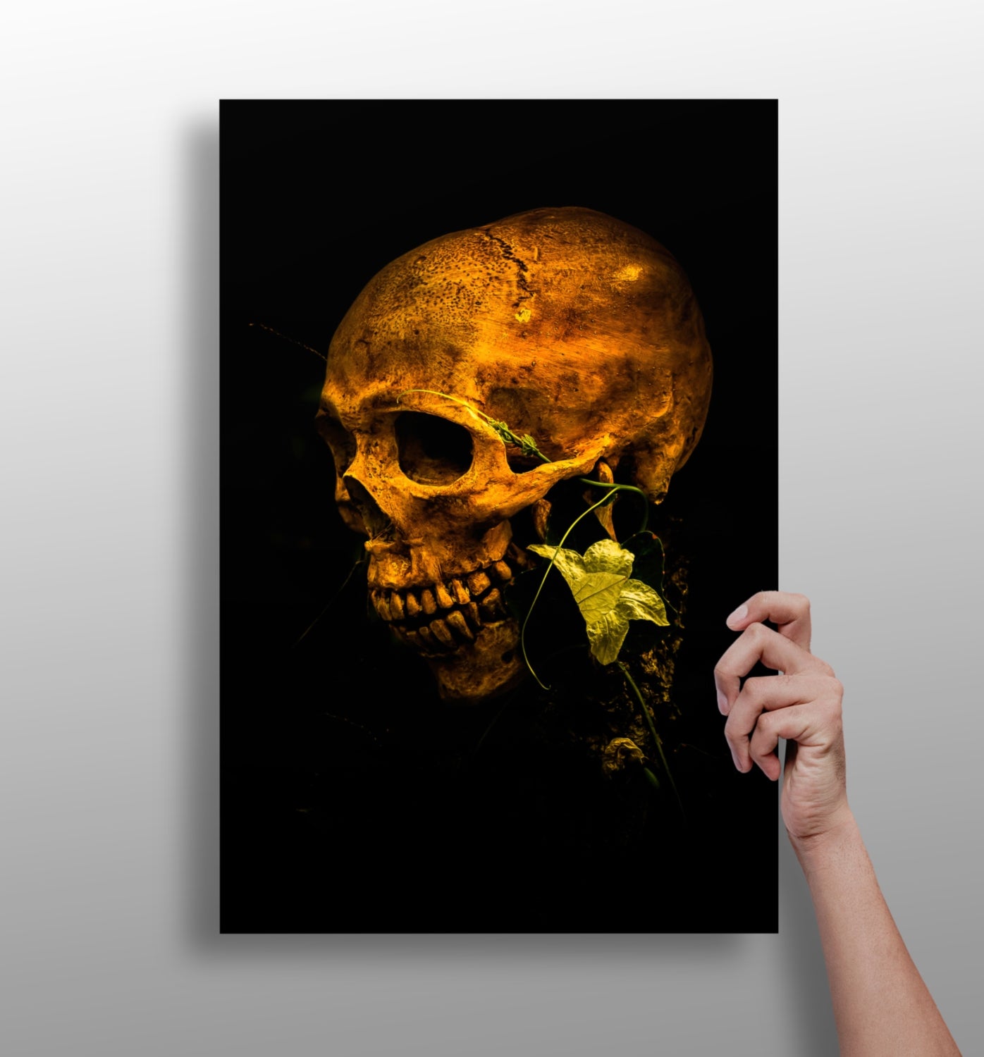 Skull Aluminum Print