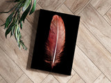 Red Feather Aluminum Print