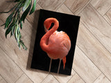 Flamingo Aluminum Print