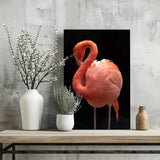 Flamingo Aluminum Print