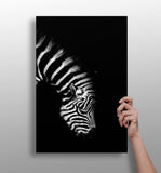 Zebra Aluminum Print