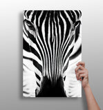 Zebra Portrait Aluminum Print