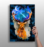 Deer at Night Aluminum Print