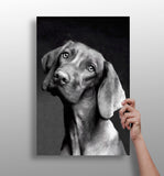 Cute Dog Aluminum Print