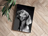 Cute Dog Aluminum Print