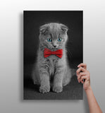 Cute Kitten Aluminum Print