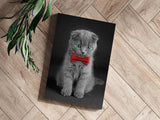 Cute Kitten Aluminum Print