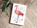 Flamingo Aluminum Print