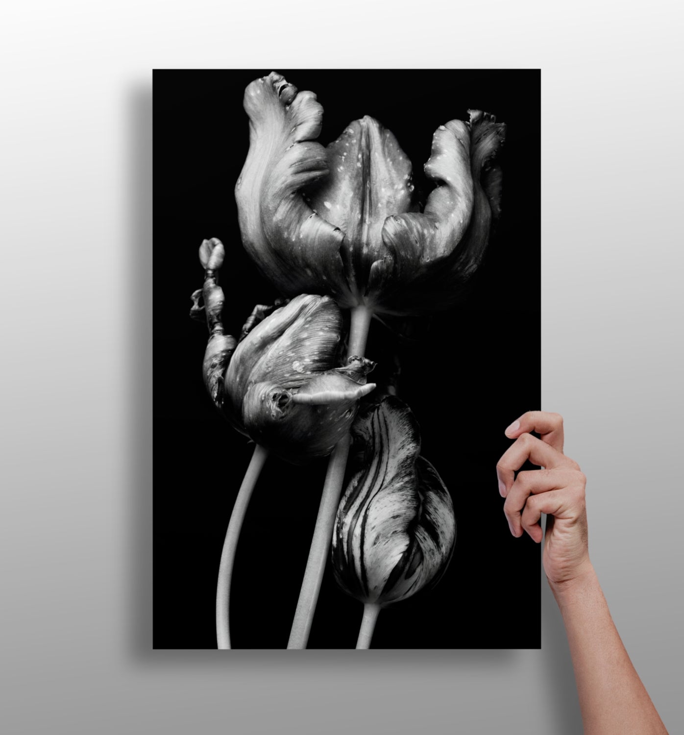 Flowers Aluminum Print