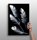 Feathers Aluminum Print