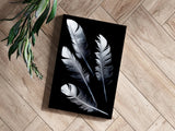 Feathers Aluminum Print