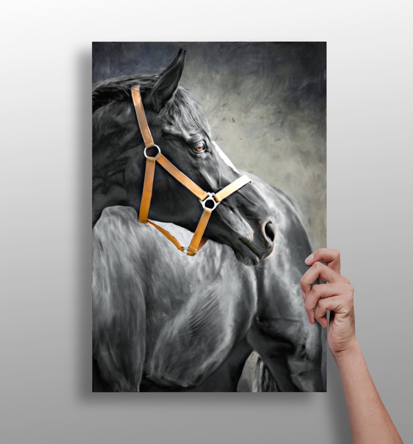 Black Horse Aluminum Print