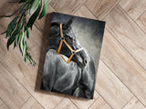 Black Horse Aluminum Print