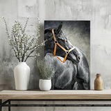 Black Horse Aluminum Print