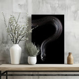 Black Snake Aluminum Print