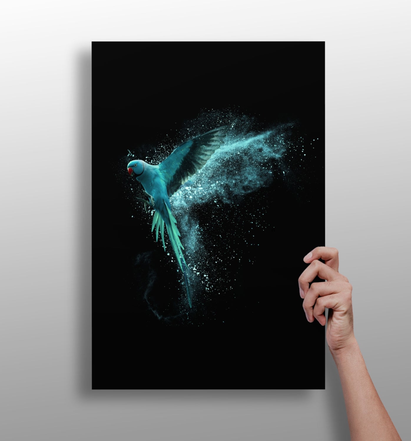 Teal Parrot Aluminum Print